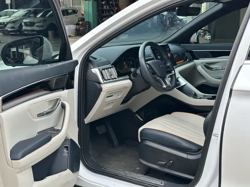 BYD PLUS New Energy — фото 2