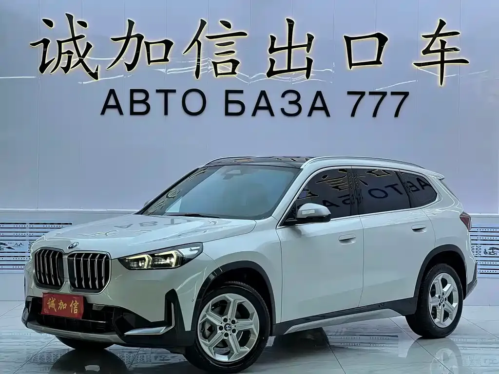 BMW X1 — фото 1