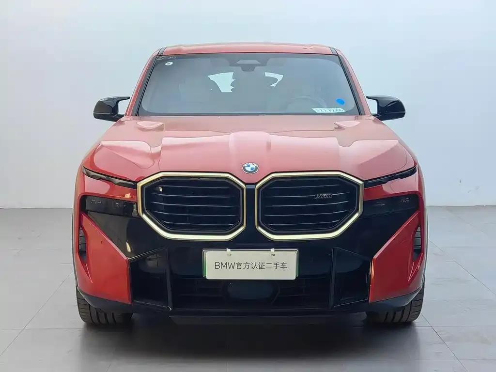 BMW XM — фото 5