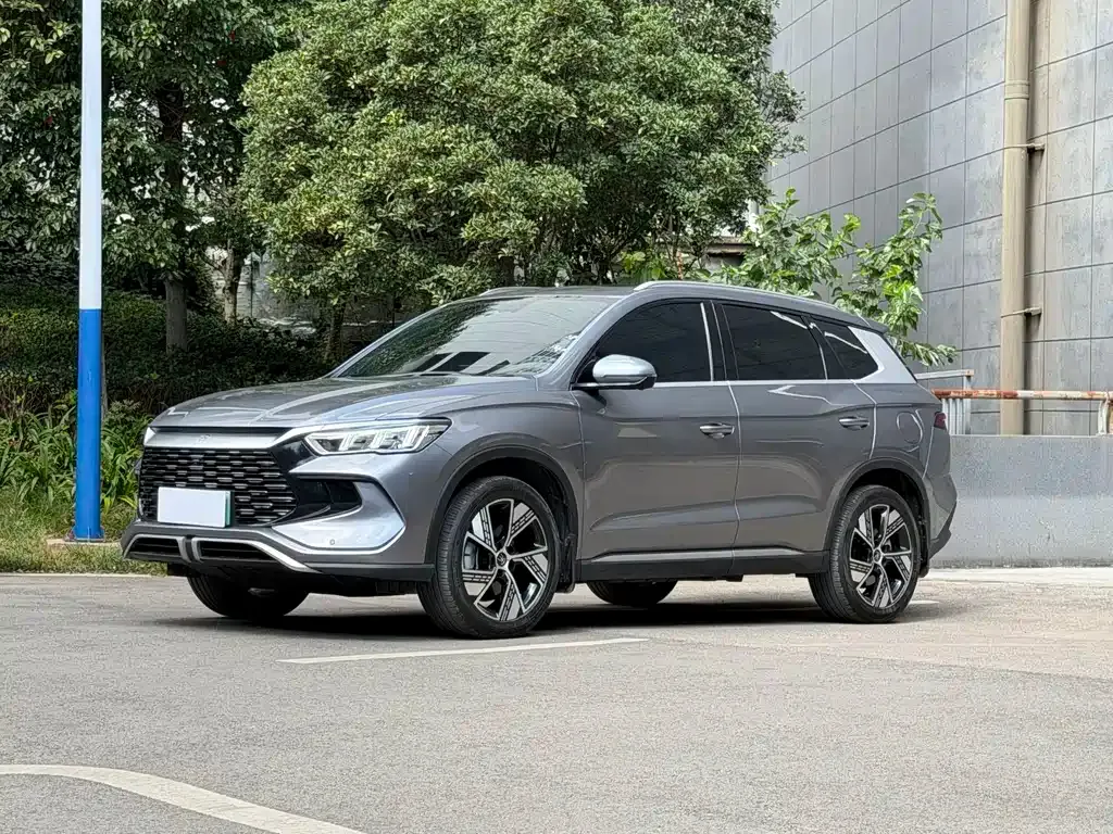 BYD Pro New Energy — фото 1