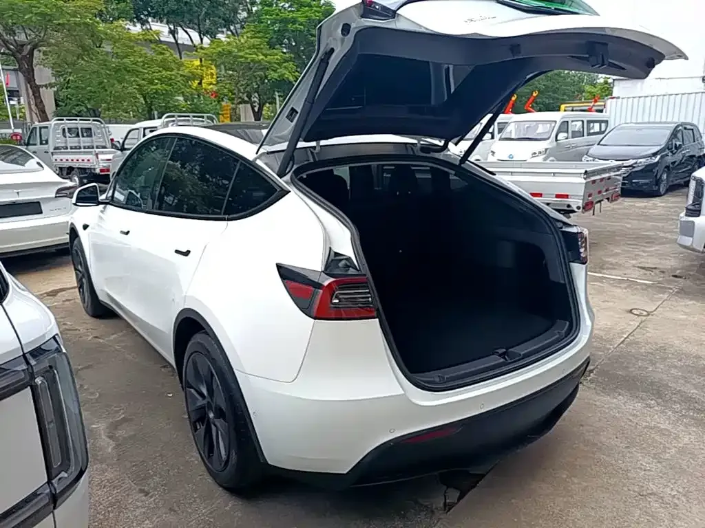 Tesla Model Y — фото 10