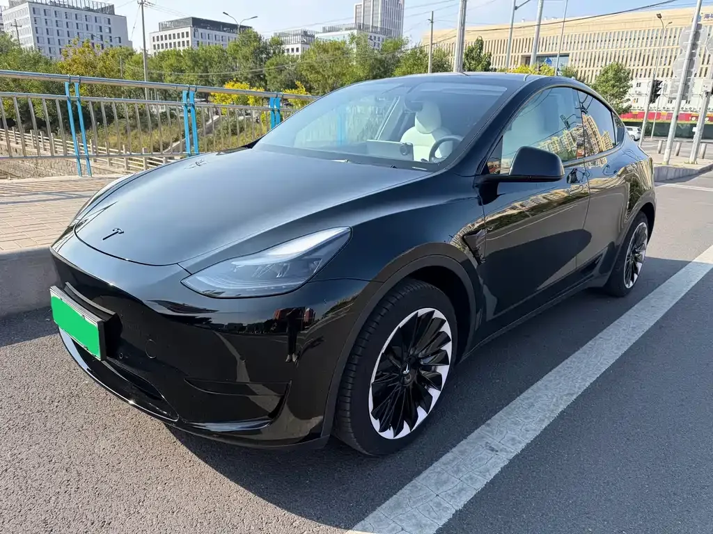 Tesla Model Y — фото 1
