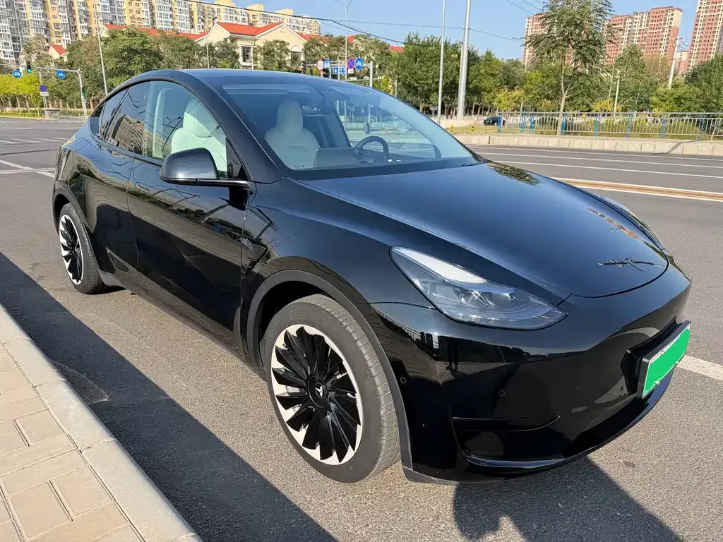 Tesla Model Y — фото 9