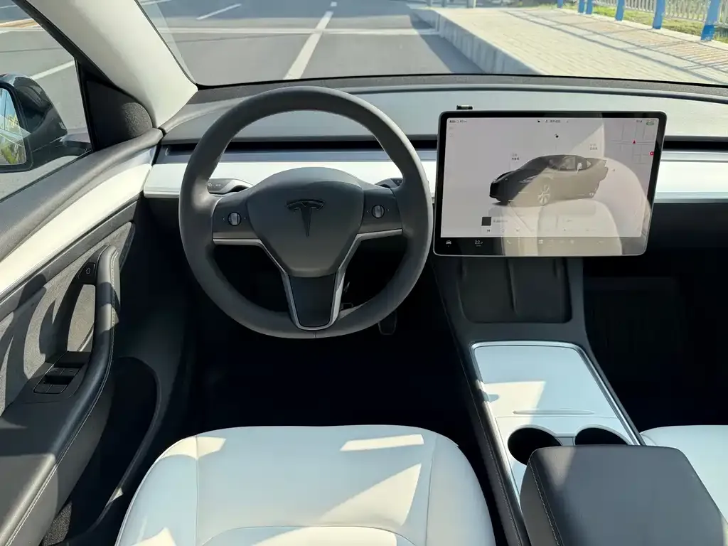 Tesla Model Y — фото 10
