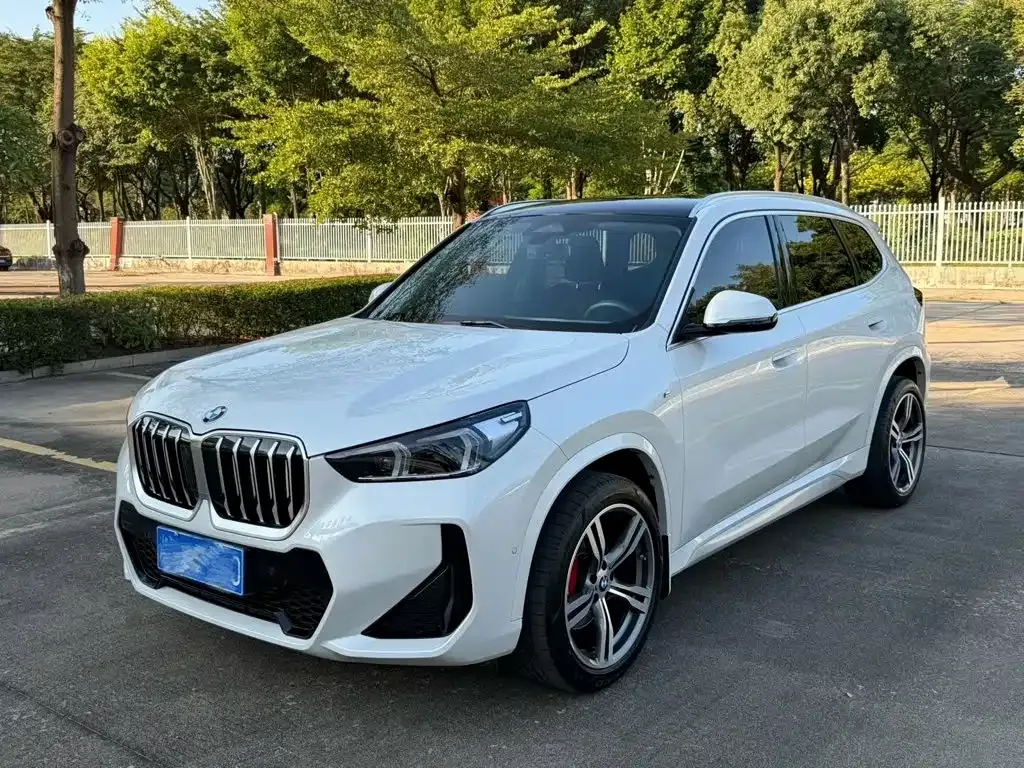 BMW X1 — фото 1