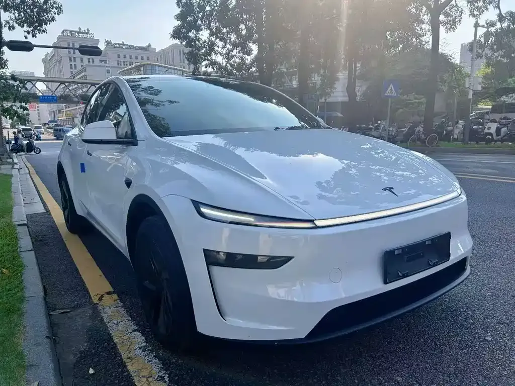 Tesla Model Y — фото 1