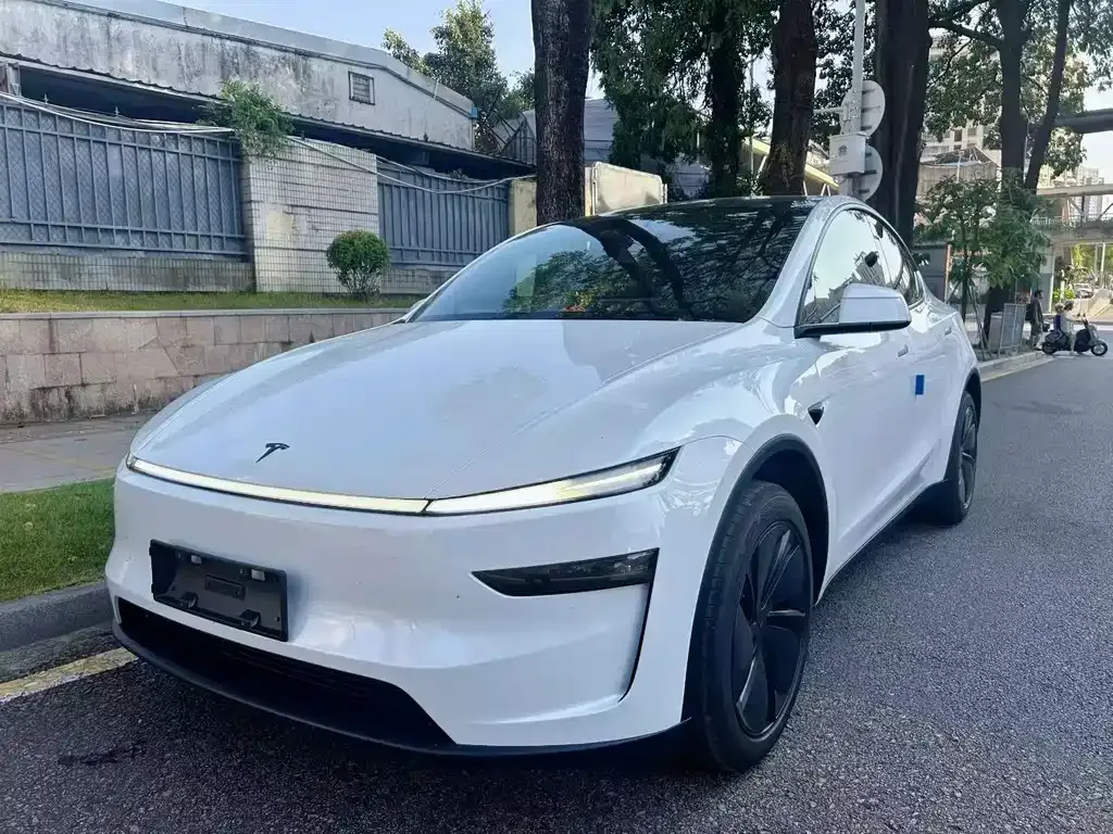 Tesla Model Y — фото 8