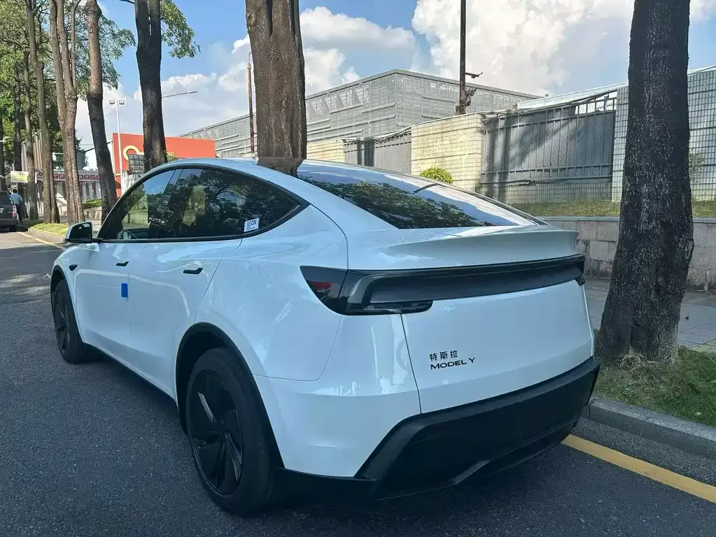 Tesla Model Y — фото 2