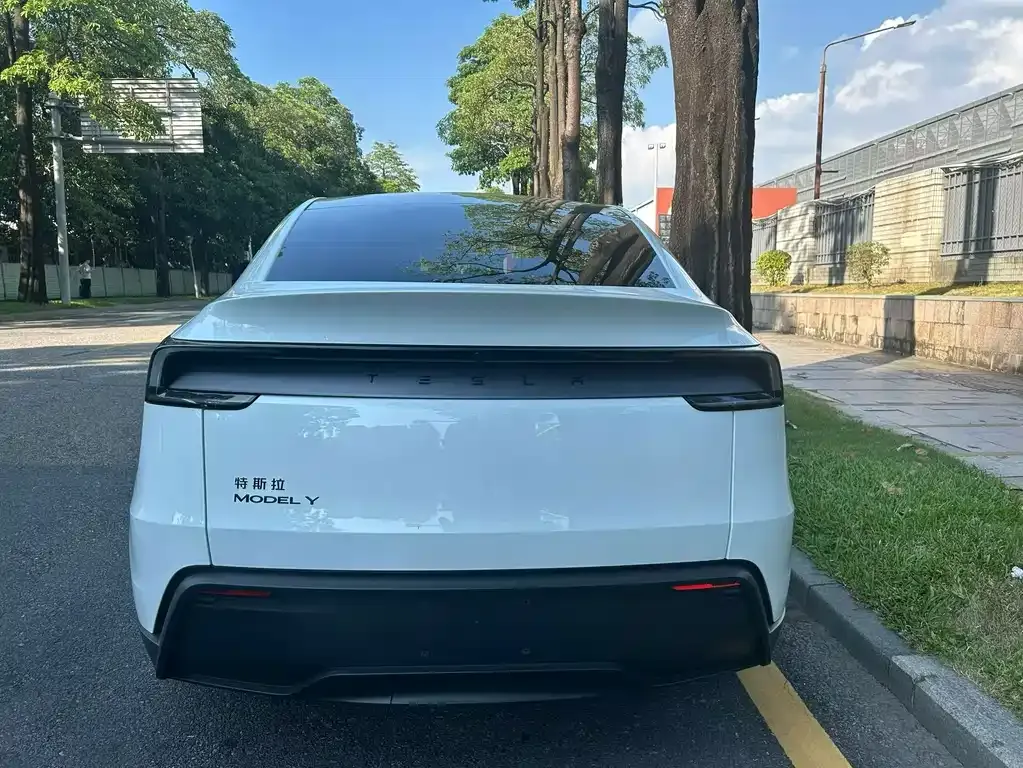 Tesla Model Y — фото 6