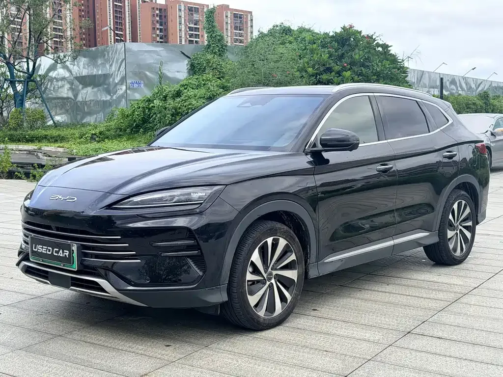 BYD PLUS New Energy — фото 1