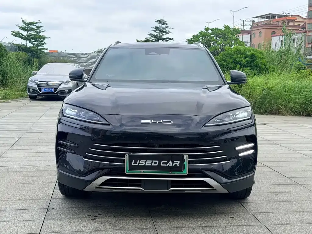 BYD PLUS New Energy — фото 8