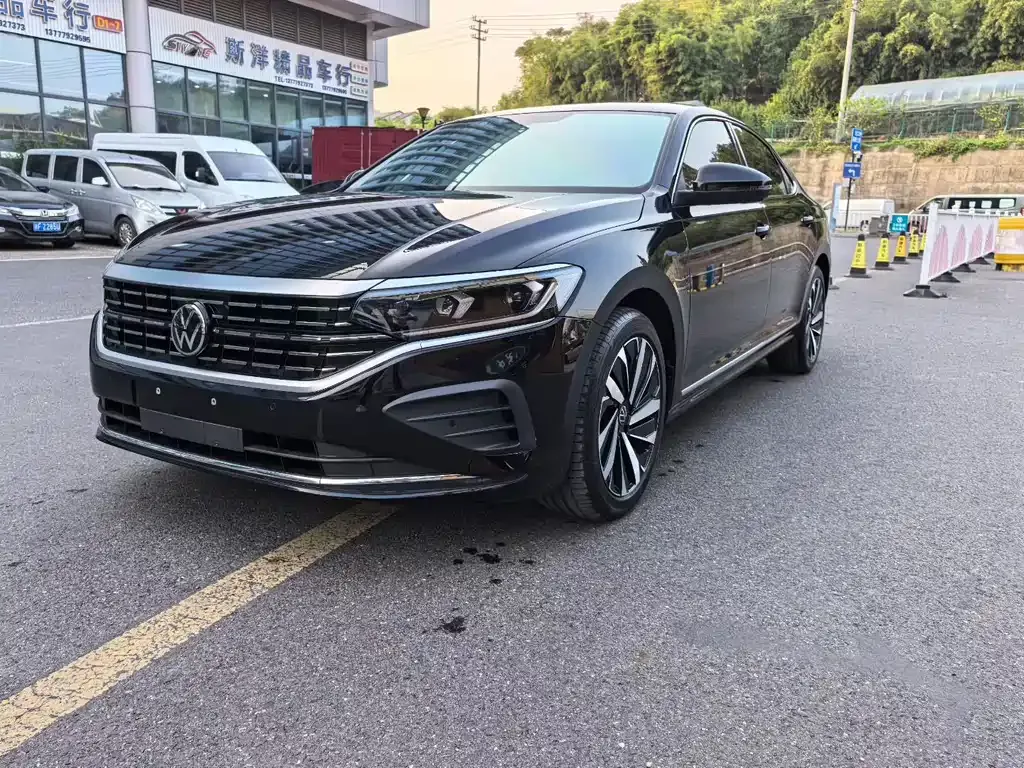 Volkswagen Passat — фото 1