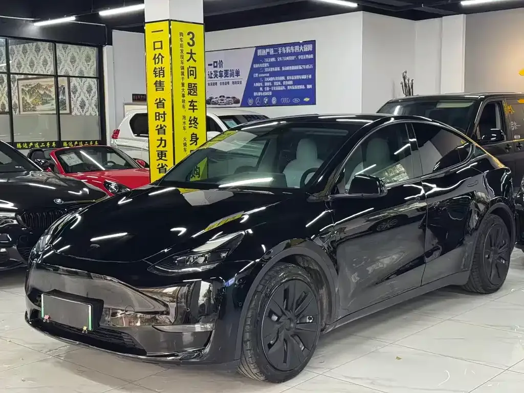 Tesla Model Y — фото 1