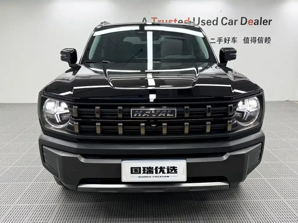 Haval Cool Dog — фото 10