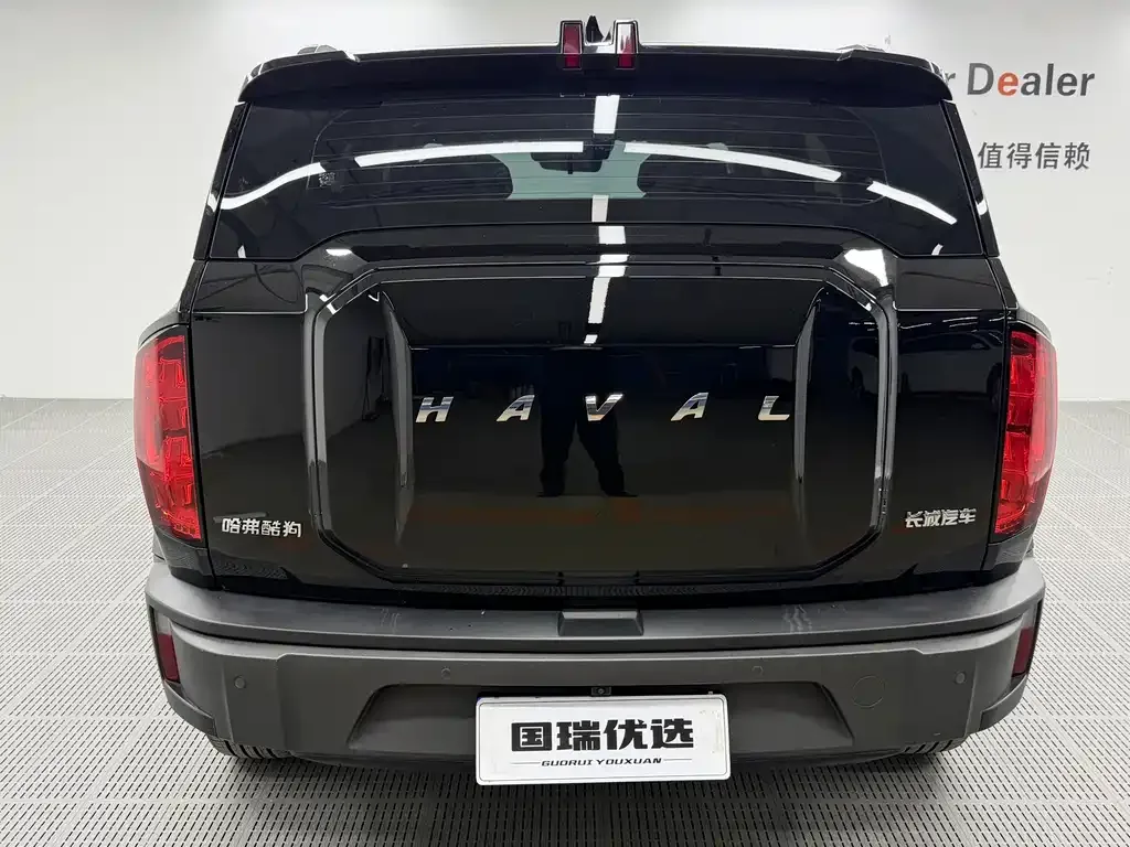Haval Cool Dog — фото 6
