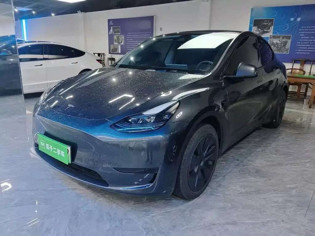 Tesla Model Y — фото 10
