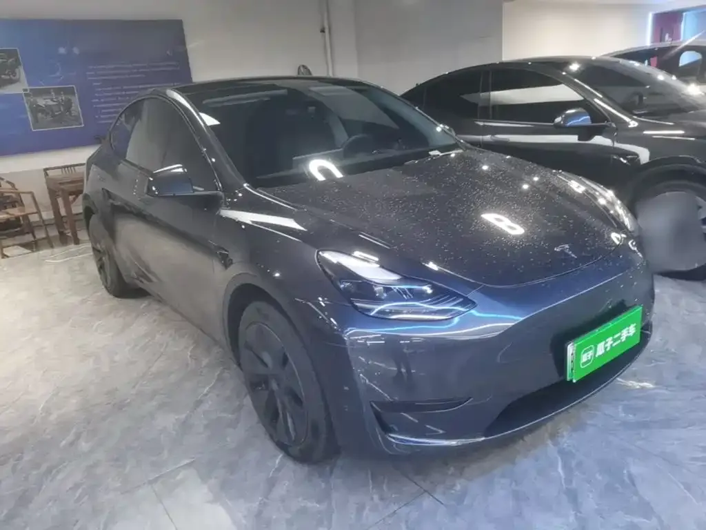 Tesla Model Y — фото 2