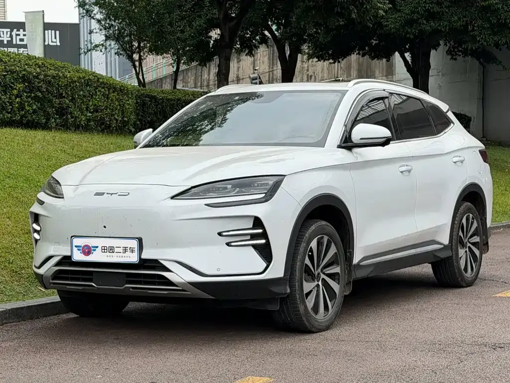 BYD PLUS New Energy — фото 1