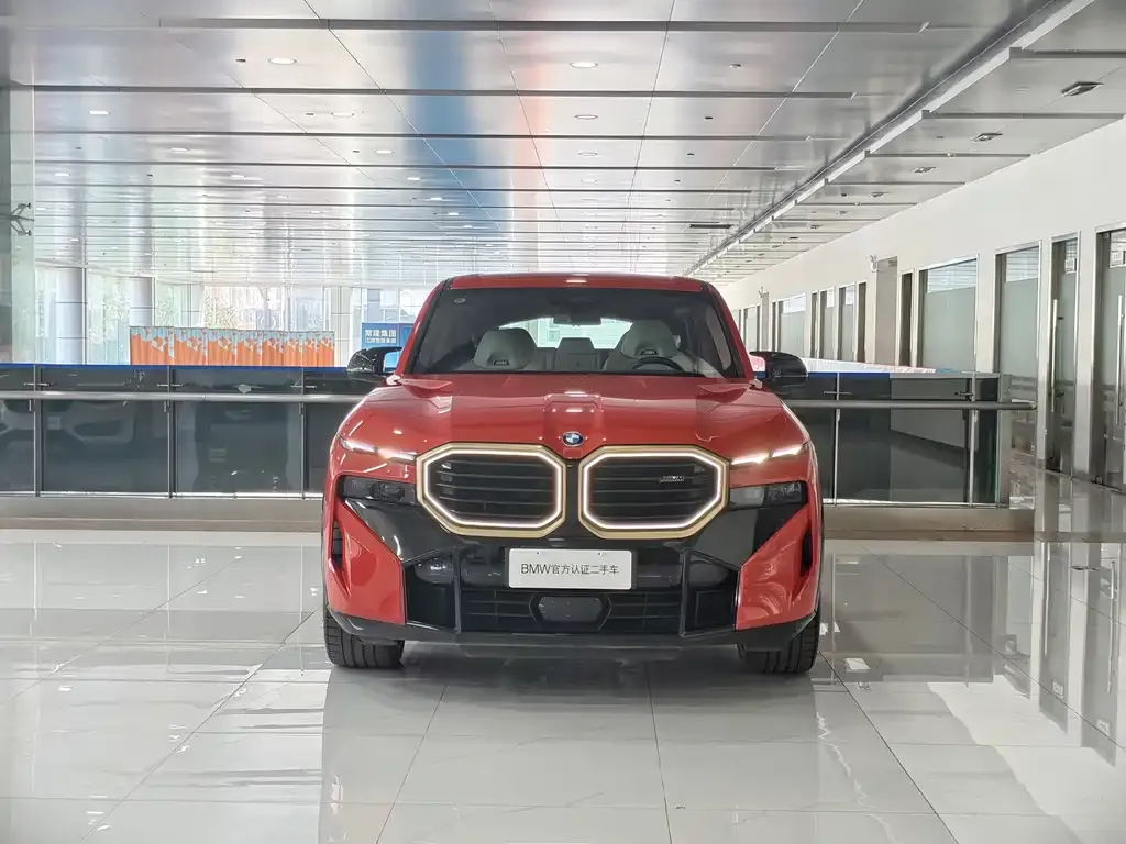 BMW XM — фото 10