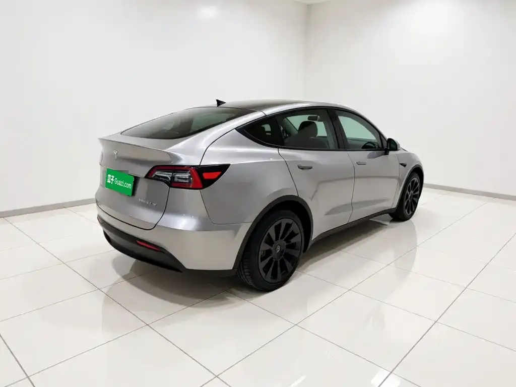 Tesla Model Y — фото 9