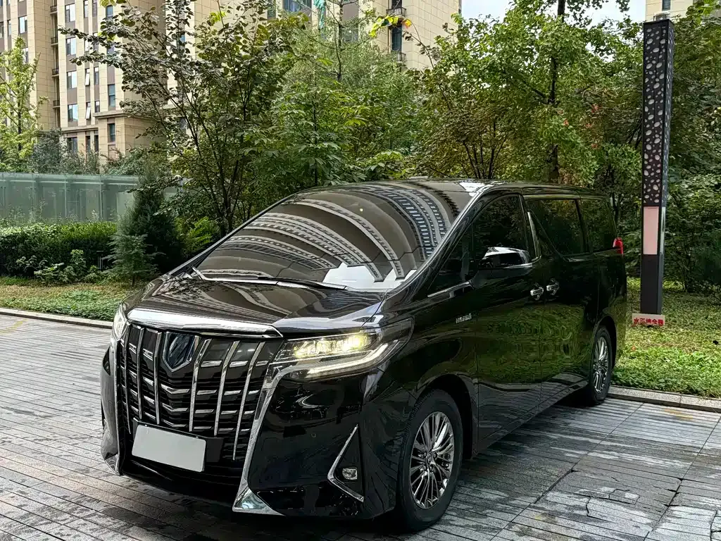 Toyota Alphard — фото 10