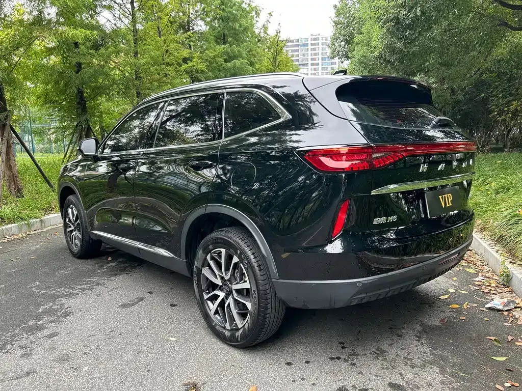 Haval H6 — фото 6