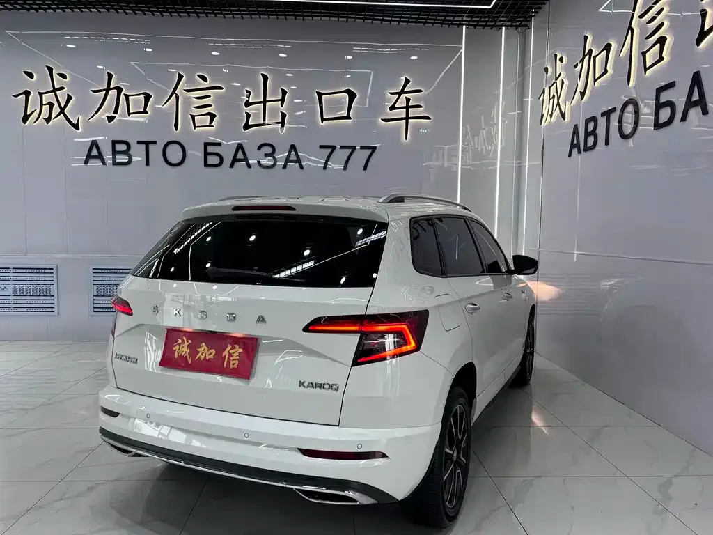 Skoda Karoq — фото 6