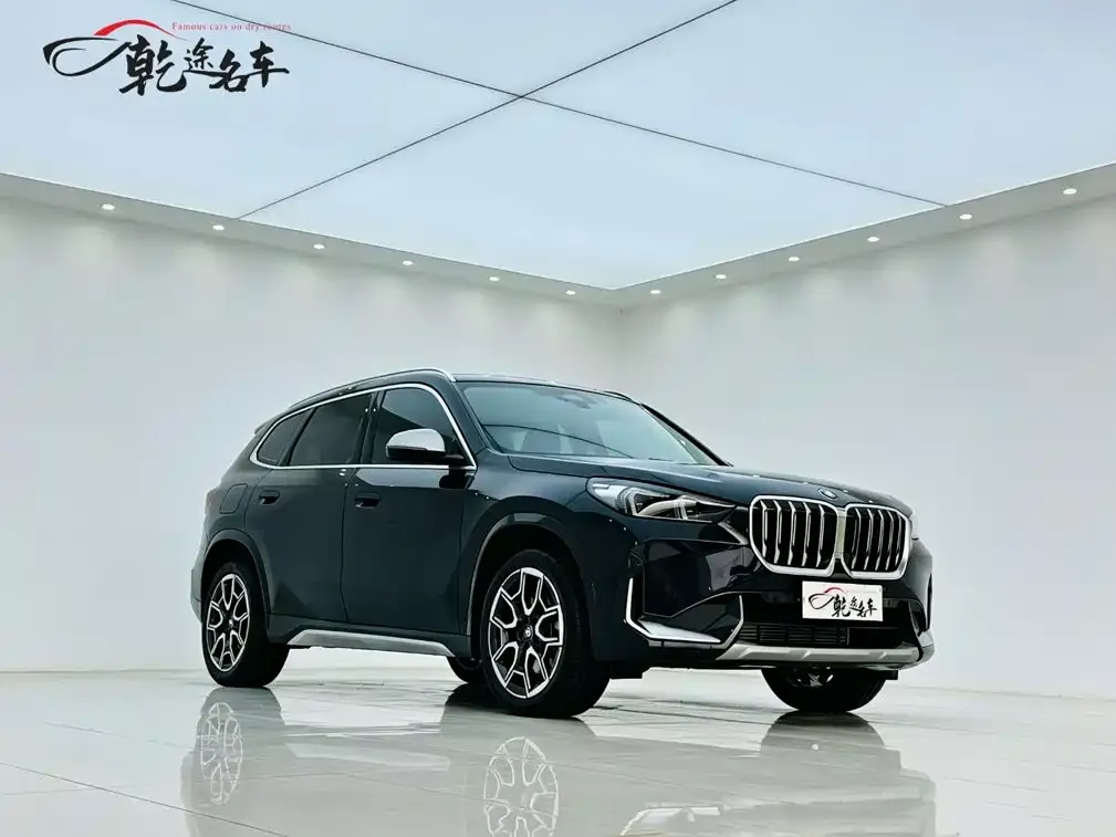 BMW X1 — фото 8