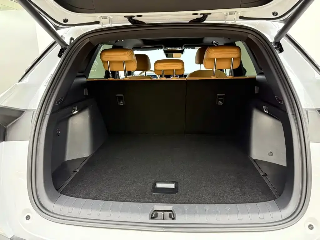 BYD L DM-i — фото 6