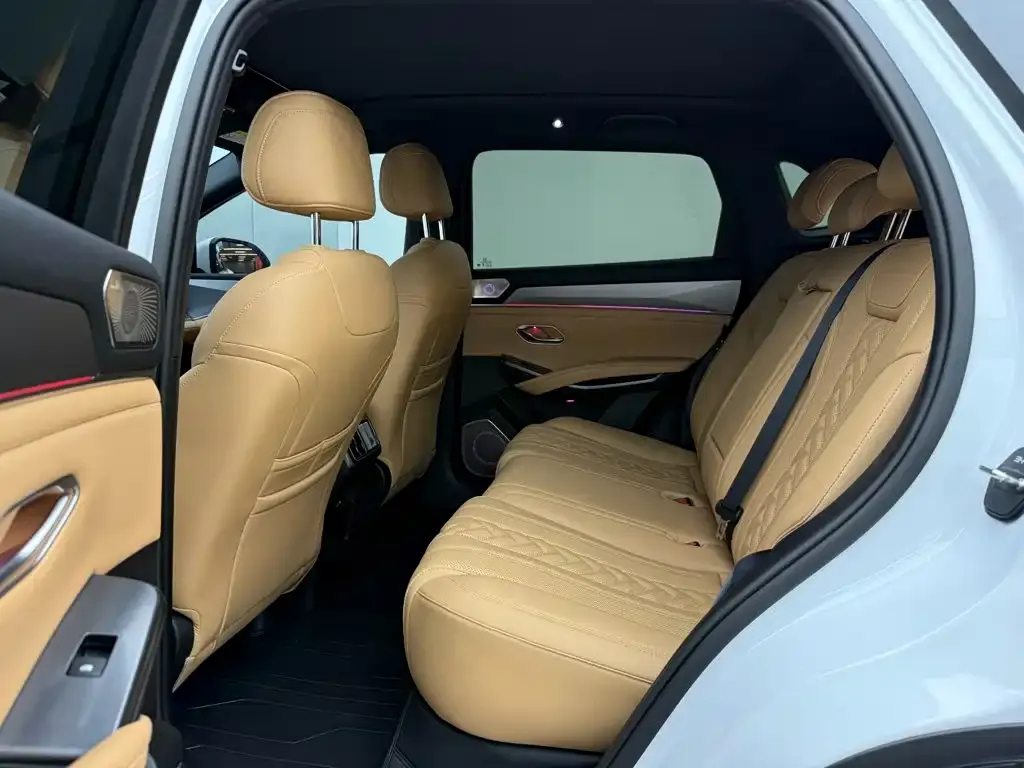 BYD L DM-i — фото 10