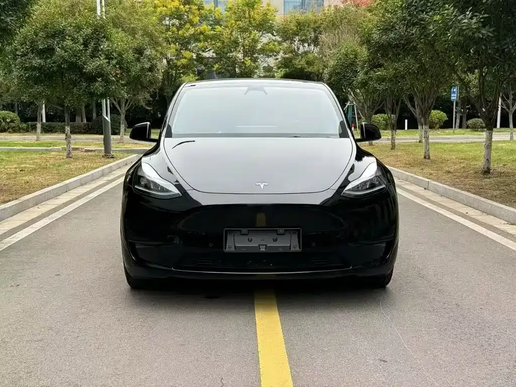 Tesla Model Y — фото 5
