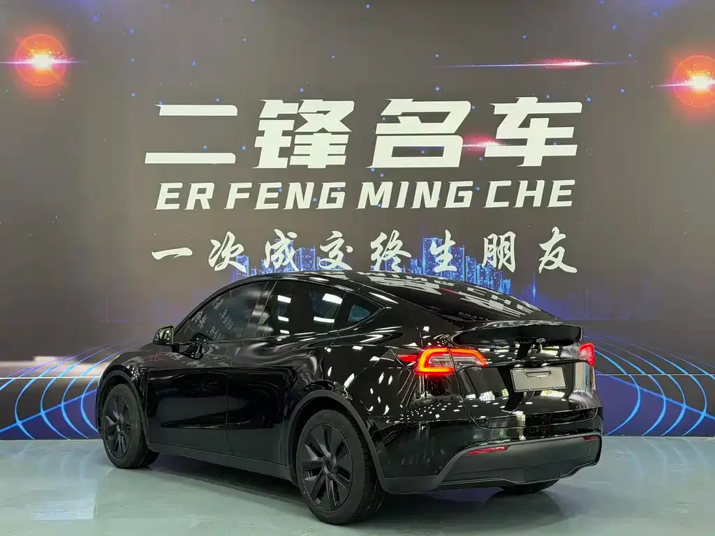 Tesla Model Y — фото 10