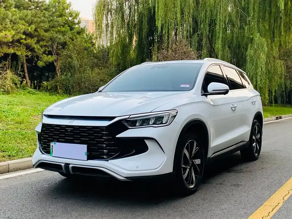 BYD Pro New Energy — фото 1