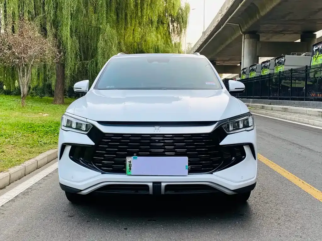 BYD Pro New Energy — фото 10