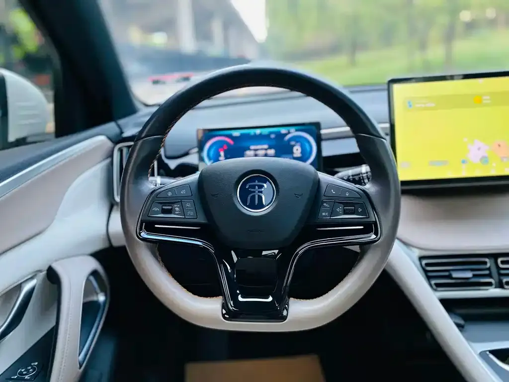 BYD Pro New Energy — фото 2