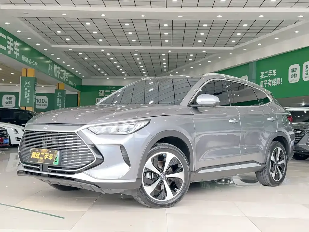 BYD PLUS New Energy — фото 1