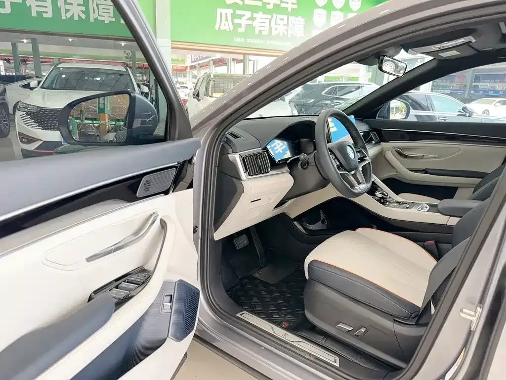 BYD PLUS New Energy — фото 9
