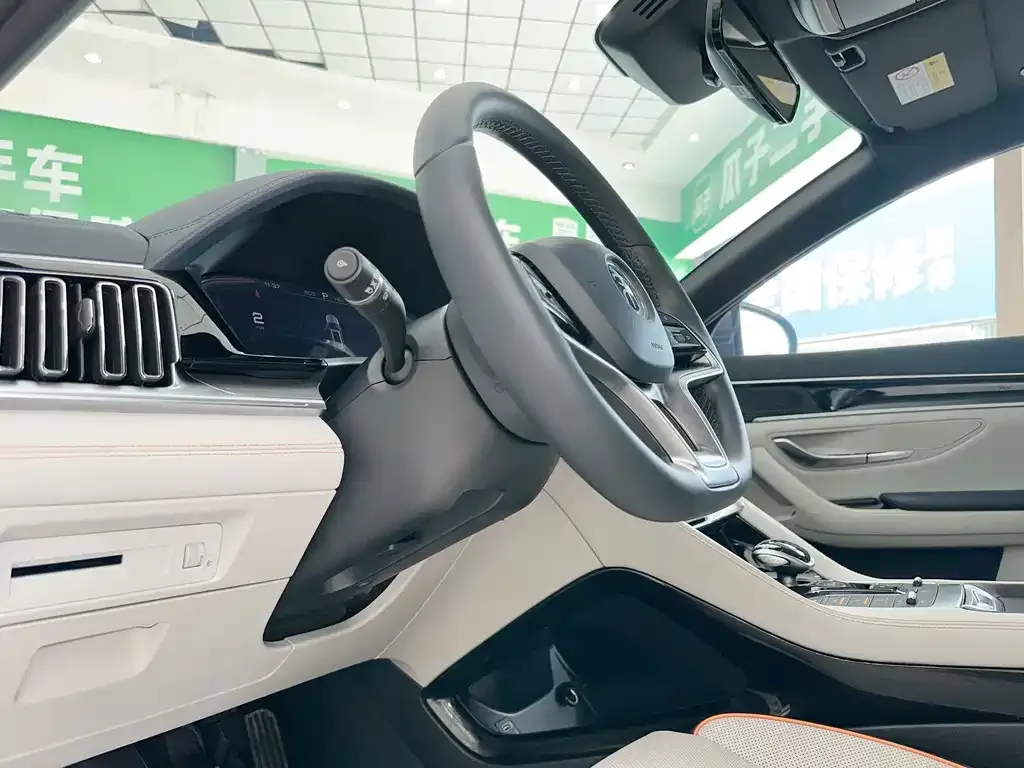 BYD PLUS New Energy — фото 10
