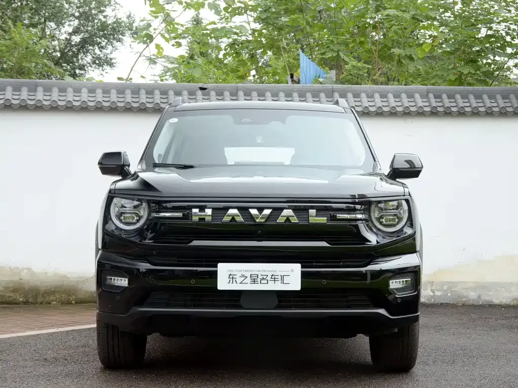 Haval Big Dog PLUS — фото 4