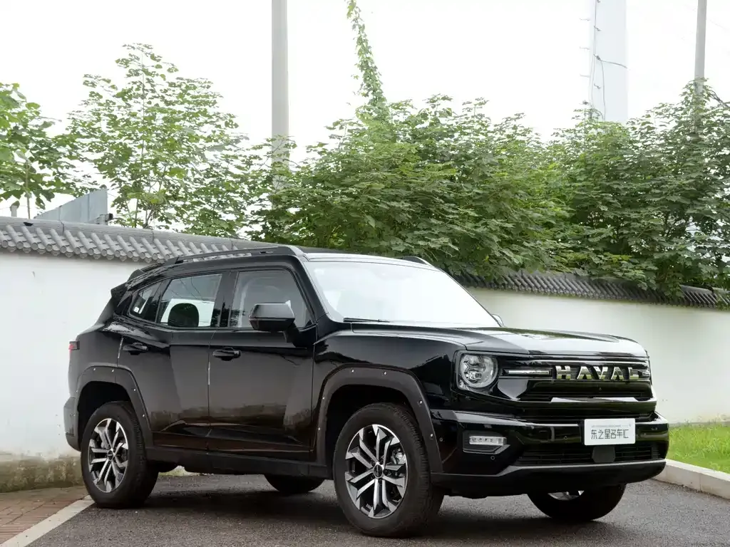 Haval Big Dog PLUS — фото 7