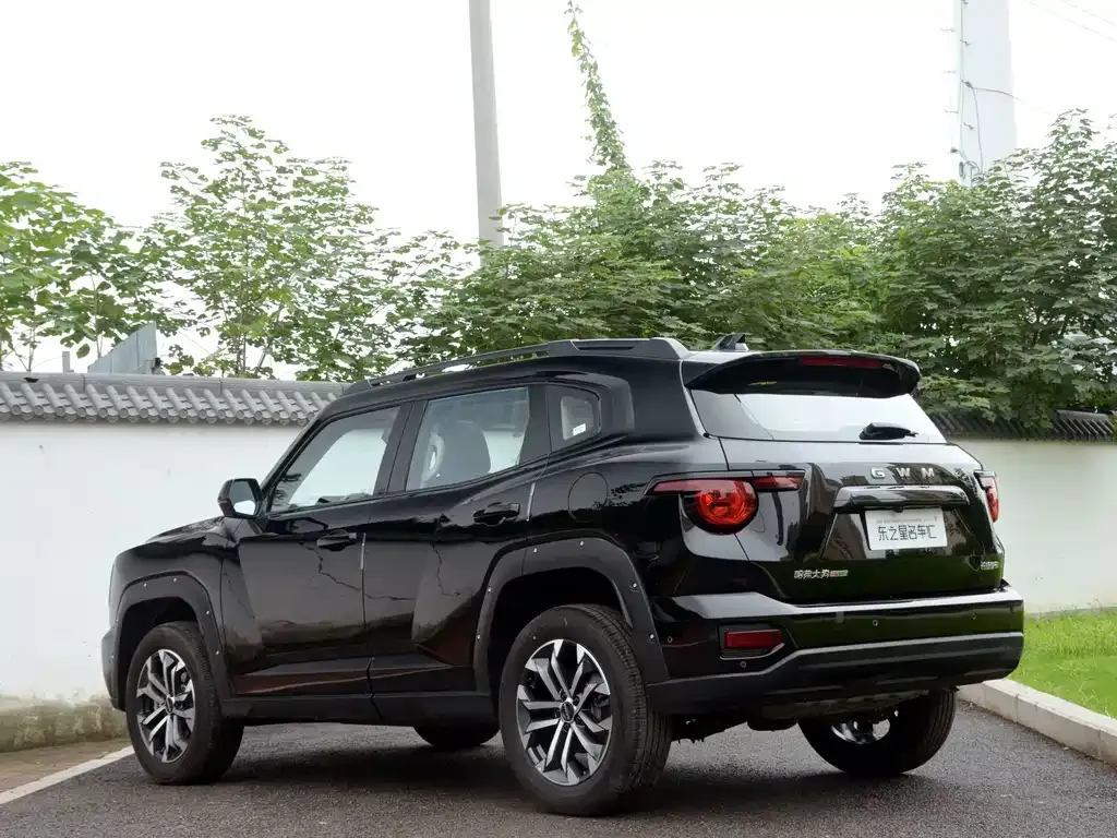 Haval Big Dog PLUS — фото 10