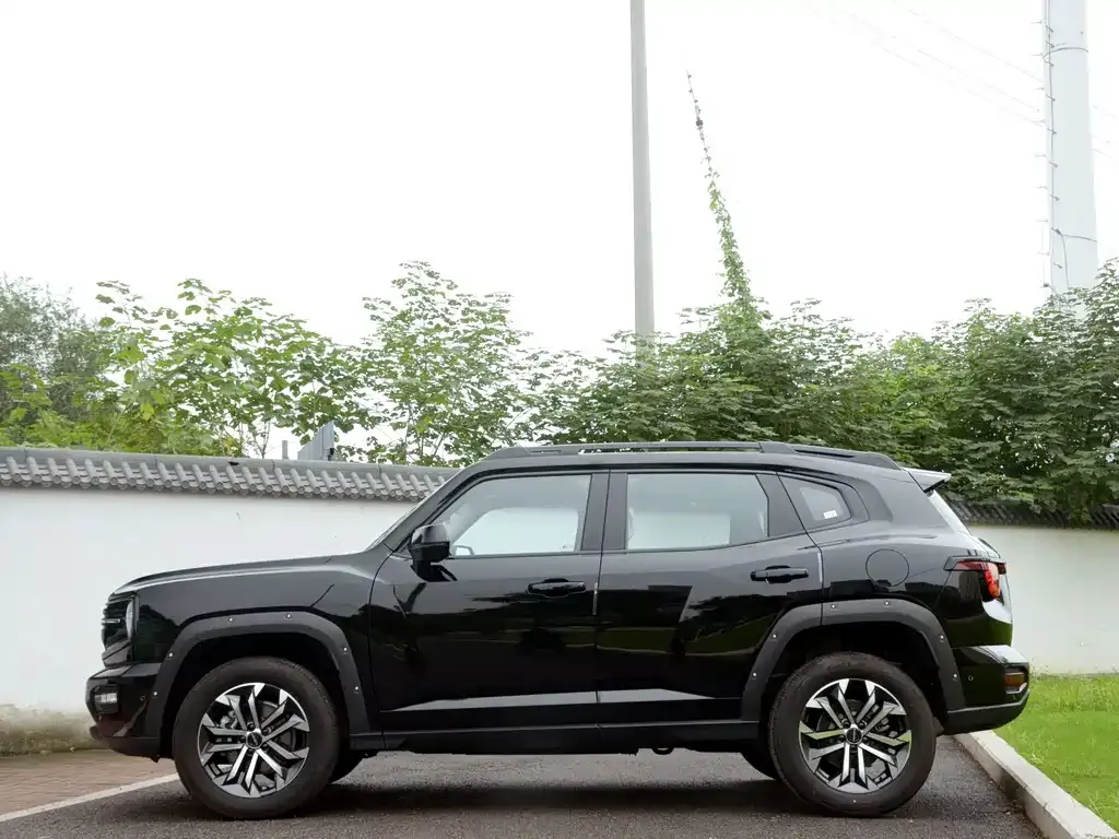 Haval Big Dog PLUS — фото 9