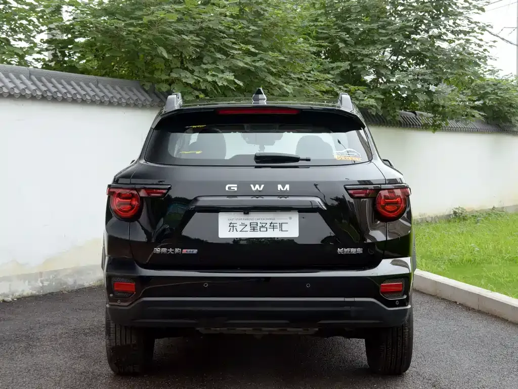Haval Big Dog PLUS — фото 6
