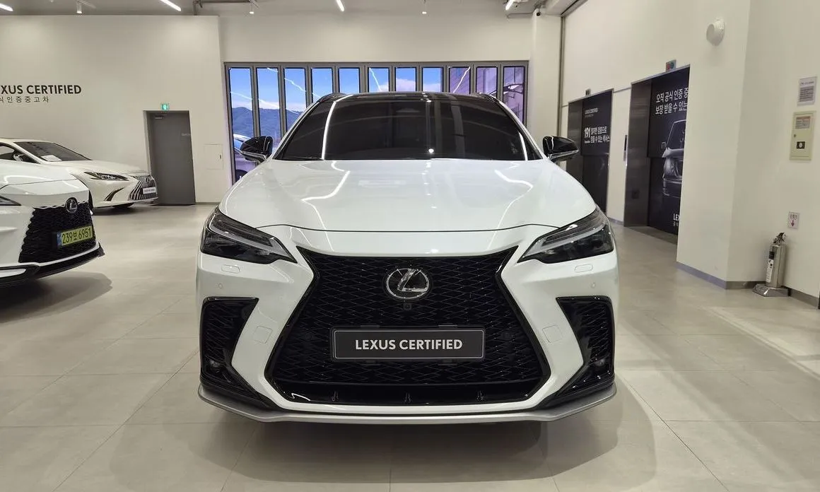 Lexus NX — фото 6