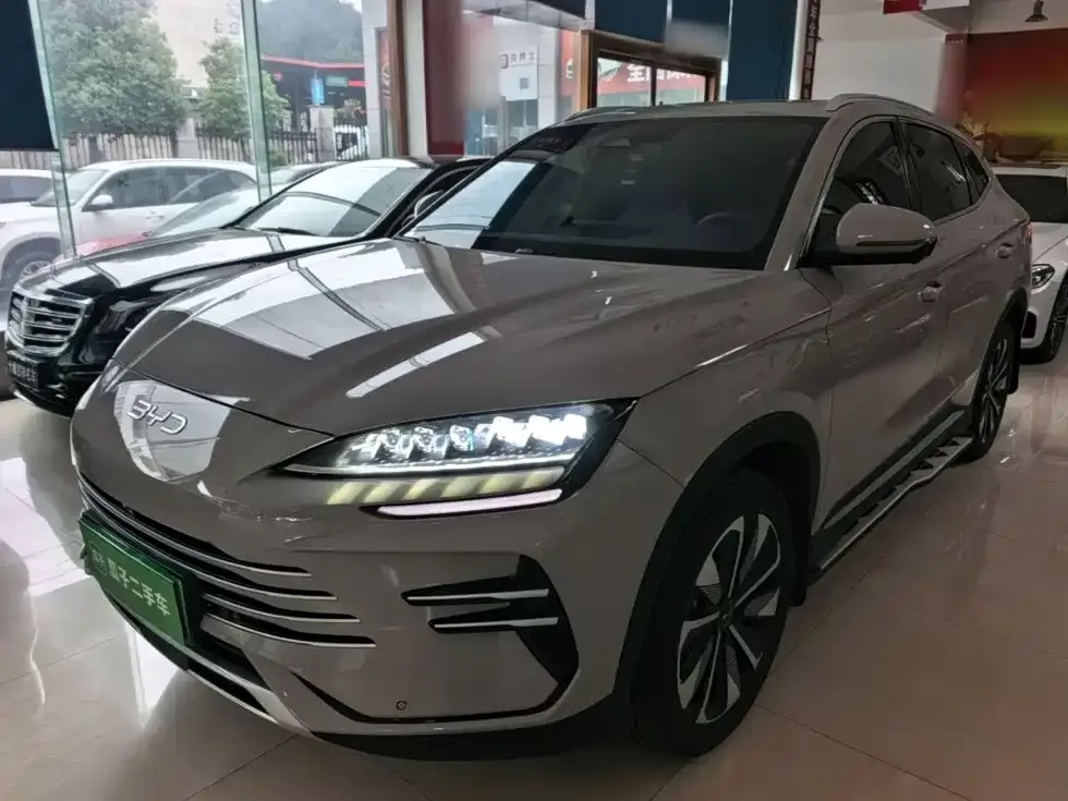 BYD PLUS New Energy — фото 1