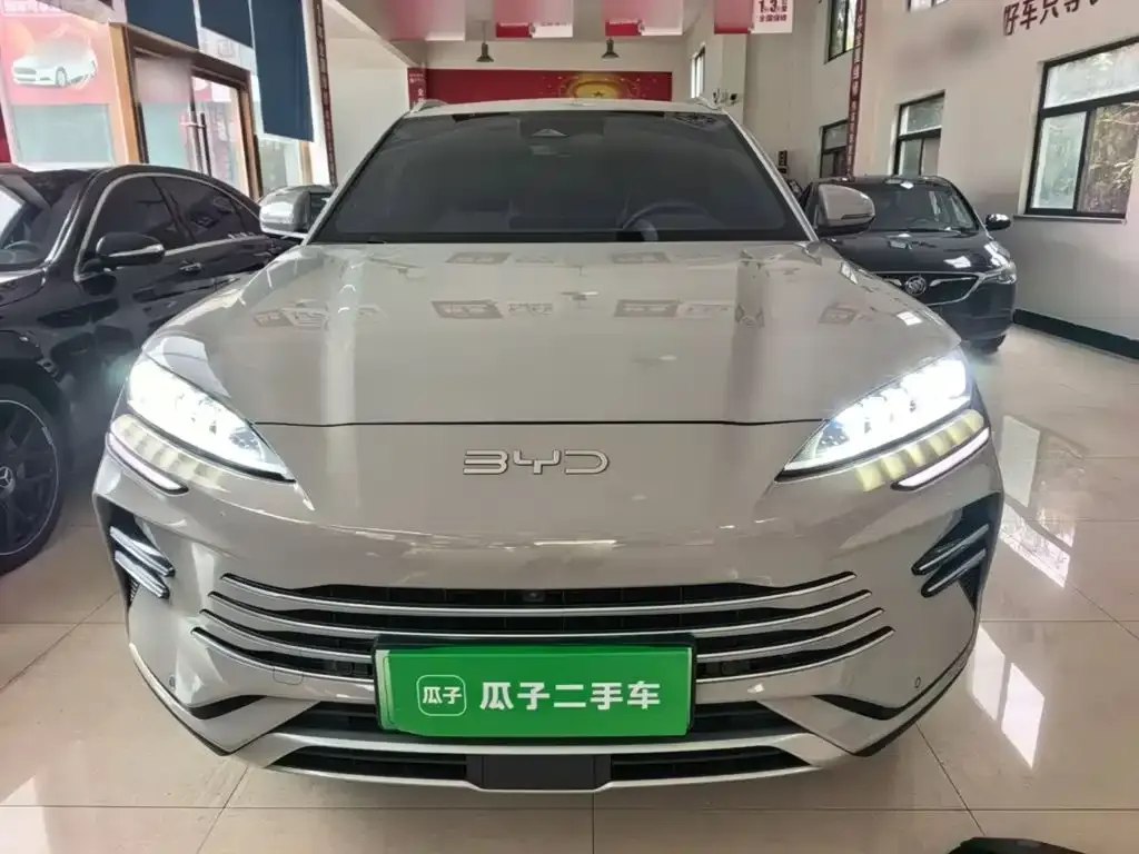 BYD PLUS New Energy — фото 5