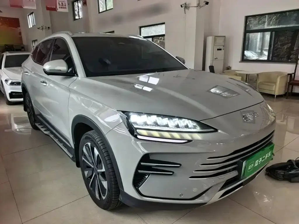 BYD PLUS New Energy — фото 8