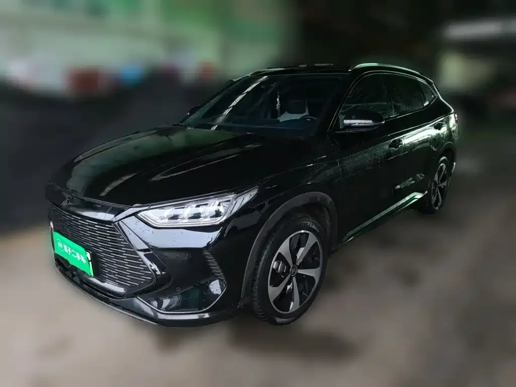 BYD PLUS New Energy — фото 1
