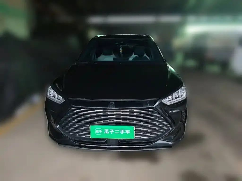 BYD PLUS New Energy — фото 4