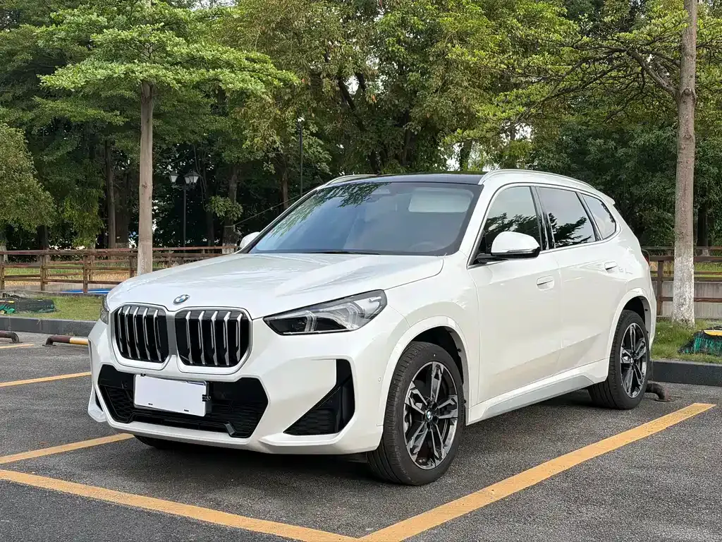 BMW X1 — фото 9